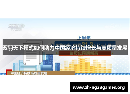 双羽天下模式如何助力中国经济持续增长与高质量发展