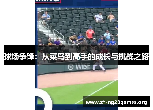 球场争锋：从菜鸟到高手的成长与挑战之路