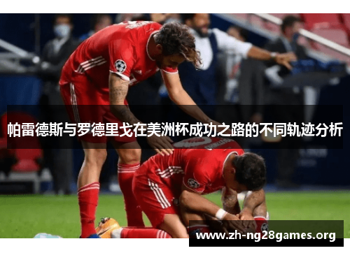 帕雷德斯与罗德里戈在美洲杯成功之路的不同轨迹分析